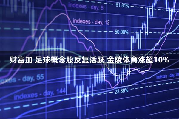 财富加 足球概念股反复活跃 金陵体育涨超10%