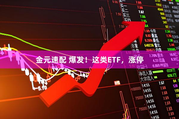 金元速配 爆发！这类ETF，涨停