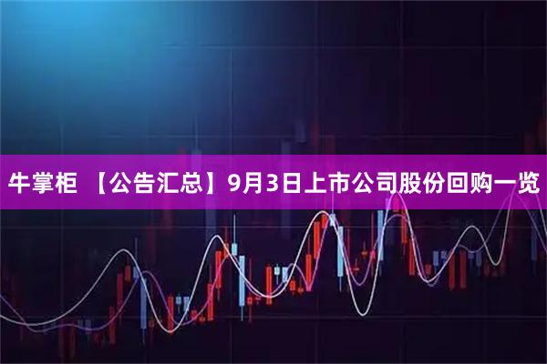 牛掌柜 【公告汇总】9月3日上市公司股份回购一览