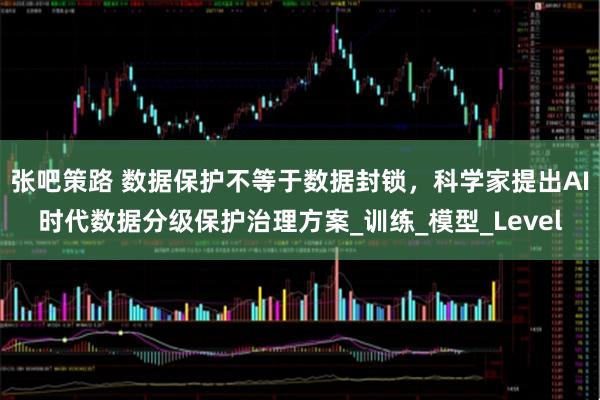 张吧策路 数据保护不等于数据封锁，科学家提出AI时代数据分级保护治理方案_训练_模型_Level